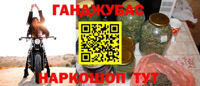 крисы Ирбит