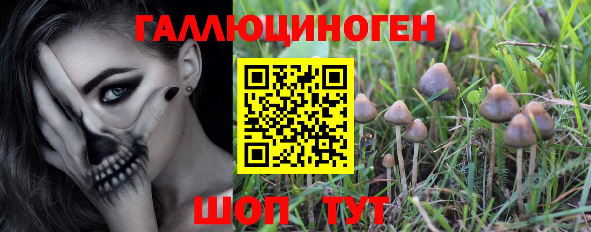 Псилоцибиновые грибы мухоморы  Псилоцибиновые грибы ЛСД  сколько стоит  Вход с VPN  Нефтекамск 